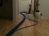 carpet_cleaning